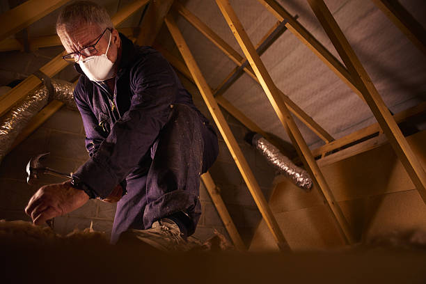 Best Attic Insulation Near Me  in Jasper, AL